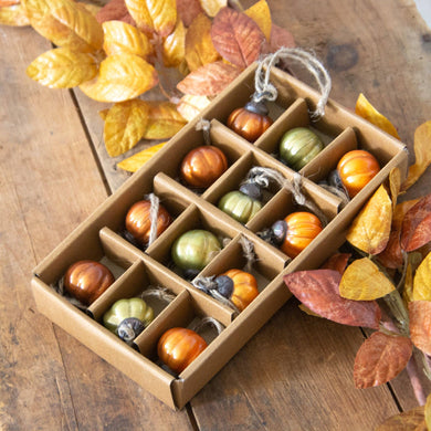 Audrey's Home & Gift - Mini Pumpkin Mercury Glass Fall Ornaments (PK/12 AST)