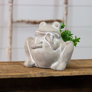 Audrey's - Cement Planter - Frog (PC)