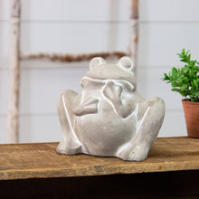Load image into Gallery viewer, Audrey&#39;s - Cement Planter - Frog (PC)