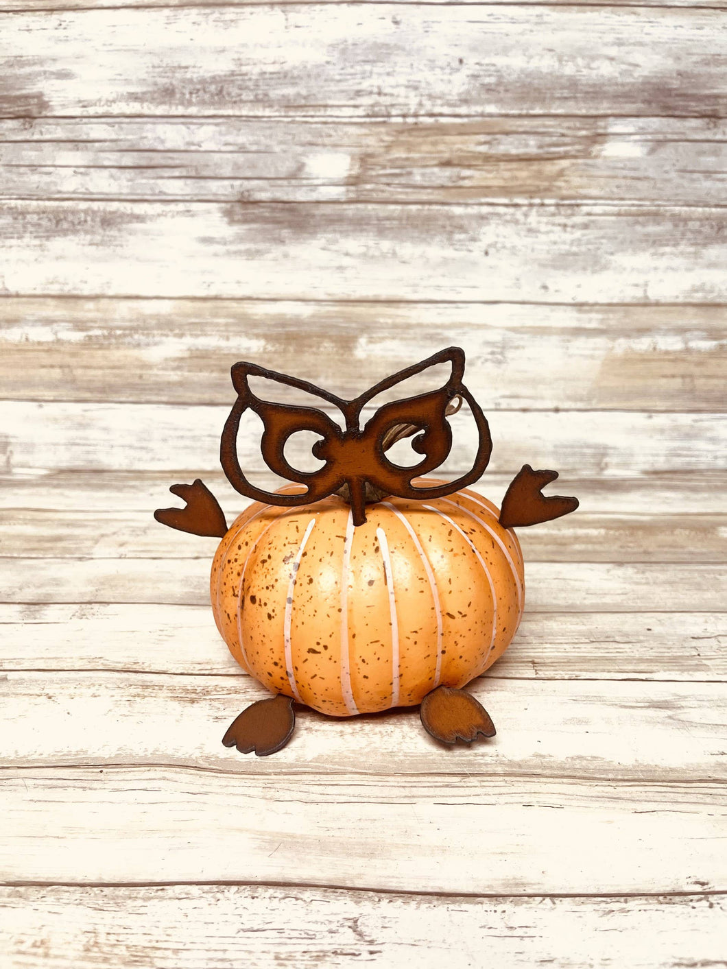 Owl Parts Rustic Halloween  Pumpkin Thanksgiving Home Decor