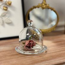 Load image into Gallery viewer, Vagabond Vintage - Glass Dome Display Cloche with Base