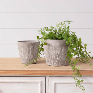 Audrey's - Planter - Embossed Lavender (Set Of 02)