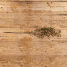 Load image into Gallery viewer, Ragon House - 38&quot; RUST &amp; GREEN HELLEBORUS HANGING SPRAY