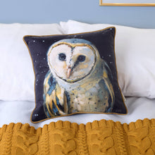 Load image into Gallery viewer, Primitives by Kathy - Night Barn Owl Pillow