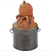 Load image into Gallery viewer, Fall Harvest Pumpkin in Pale