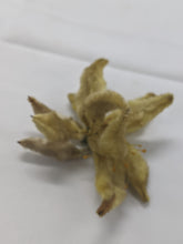Load image into Gallery viewer, Early Victorian Chenille Yellow Poinsettia Flower Ornament